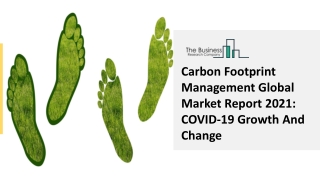 Carbon Footprint Management Market Overview And Size, Share Forecast 2030