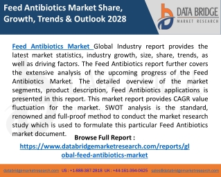 Feed Antibiotics Market – Global Industry Share, Size, Competitive Landscape