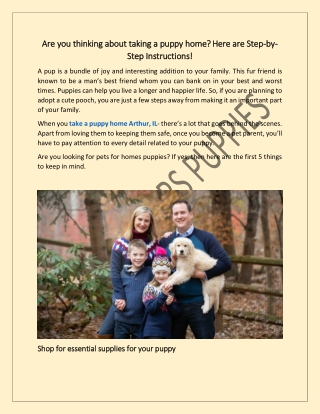 Are you thinking about taking a puppy home? Here are Step-by-Step Instructions!
