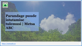 Kuidas saaksime parandada puude istutamise tulemusi | Metsa ABC