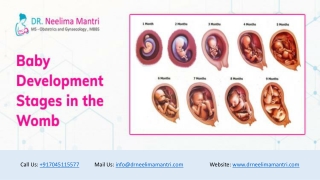 From Pregnancy to Delivery: Baby Development Stages in the Womb