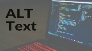 Alt Text Effect and Importance of Alt Tag