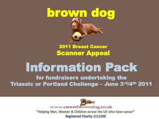 brown dog