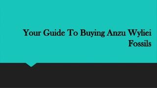 Your Guide To Buying Anzu Wyliei Fossils