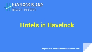 Top Hotels in Havelock