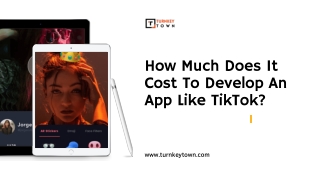 How Much Does It Cost To Develop An App Like TikTok?