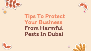 Tips To Protect Your Business  From Harmful Pests In Dubai_