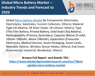 Global Micro Battery Market