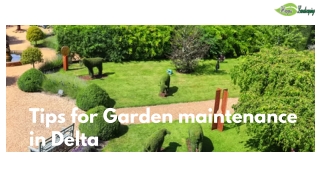 Tips for Garden maintenance in Delta