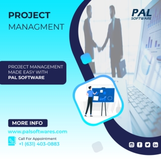 PAL SOFTWARE SERVICES