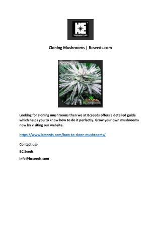 Cloning Mushrooms | Bcseeds.com