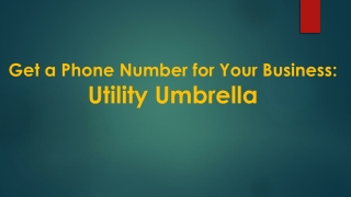 Get a Phone Number for Your Business-Utility Umbrella