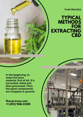 Typical Methods for Extracting CBD You Should Know.