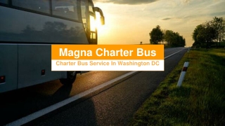 Magna Charter - The Best Bus Rental Service In Washington DC