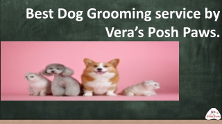 Dog Grooming Service