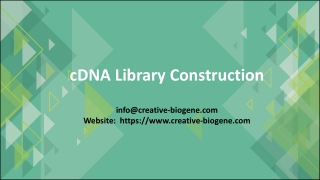 cDNA Library Construction