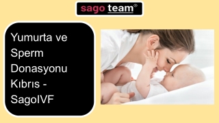 Yumurta ve Sperm Donasyonu Kıbrıs - SagoIVF