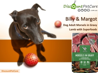 Billy & Margot Dog Adult Morsels in Gravy Lamb with Superfoods