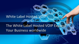 The White Label Hosted VOIP Expand Your Business worldwide