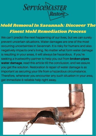 Protect Your Home With Service Of Mold Removal In The Savannah