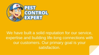 Affordable Pest Control Services - Pest Control Expert