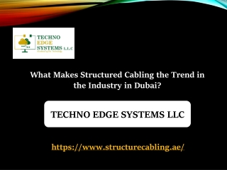 What Makes Structured Cabling the Trend in the Industry in Dubai?