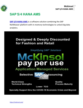 SAP S/4 HANA  AMS