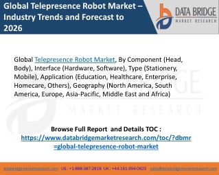 Global Telepresence Robot Market