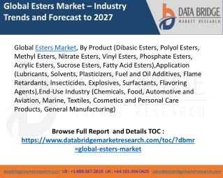 Global Esters Market