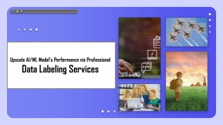 Upscale AI ML Model’s Performance via Professional Data Labeling Services