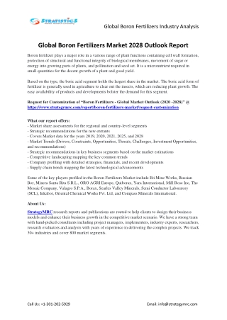 Boron Fertilizers Market Forecasts to 2028