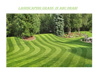 Landscaping Grass in Dubai