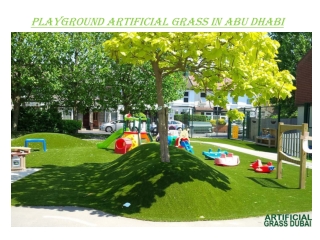 Playground Grass in Abu Dubai