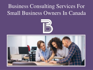 Business Consulting Services For Small Business Owners In Canada