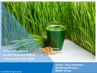 Wheatgrass Market  PDF, Size, Share | Industry Trends Report 2021-2026