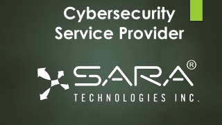 Cybersecurity Service Provider