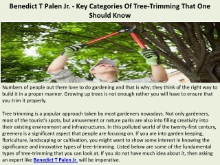 Benedict T Palen Jr. - Key Categories Of Tree-Trimming That One Should Know