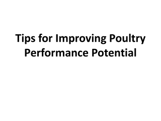 Tips for Improving Poultry Performance Potential