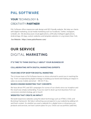 PAL SOFTWARE " Information Technology , Long Island, New York