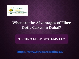 What are the Advantages of Fiber Optic Cables in Dubai?