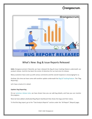 What’s New_ Bug & Issue Reports Released