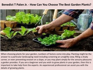 Benedict T Palen Jr. - How Can You Choose The Best Garden Plants?