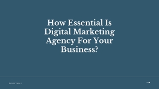 Why is digital marketing agency important?