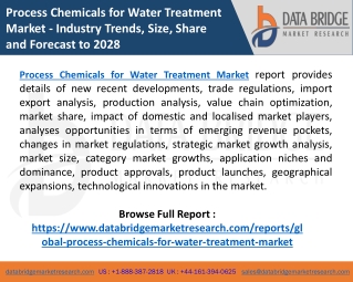 Process Chemicals for Water Treatment Market Research,Trend and Outlook, Business research report by DBMR