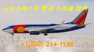 사우스웨스트 항공 수하물 정책 _ 1(802) 214–1148_ 위탁 수하물