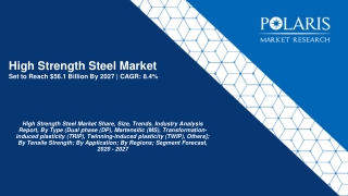 High Strength Steel Market 2021