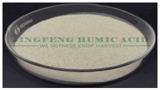 Amino acid fertilizer manufacturers, its working mechanism, and top products