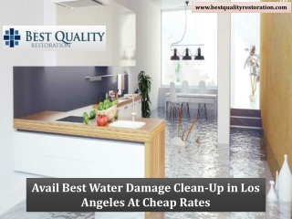 Avail Best Water Damage Clean-Up in Los Angeles At Cheap Rates