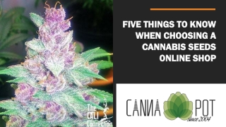 Five Things to Know When Choosing a Cannabis Seeds Online Shop