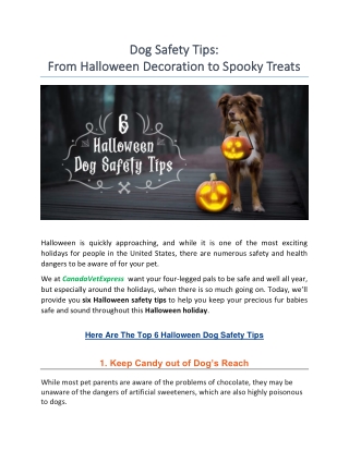Dog Safety Tips - From Halloween Decoration to Spooky Treats